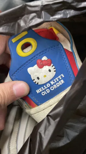 Y2K Vintage Hello Kitty Old Order Skate shoes with a beautiful large tongue