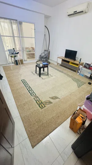 luxurious Carpet - Perfect condition