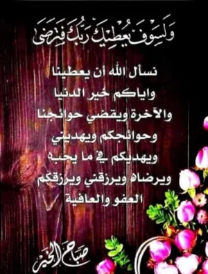 محمد الشناوي 