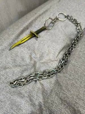 قلاده تضع في الرقبه