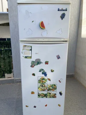 ثلاجة ارشيليك 450 لتر