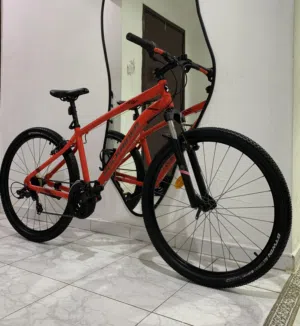 Rock rider st 100
