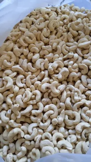 Cashew Nuts from Tanzania (Dry White cashew nuts) -Size :W-180 كاجو من تنزانيا (كاجو أبيض جاف)