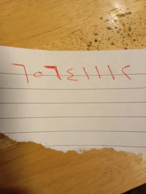 خط اوريد مميز للبيع