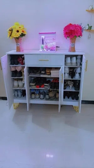دواليب وجزمات احذيه