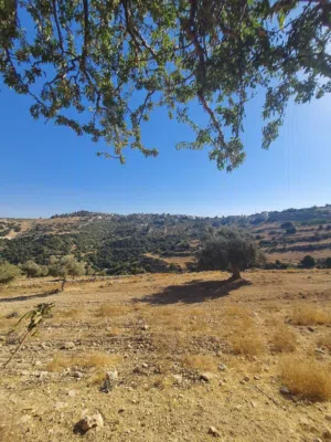 Farm Land for Sale in Salt Al Balqa'
