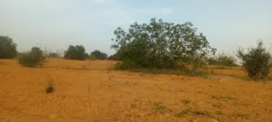 Farm Land for Sale in Misrata AlSakt