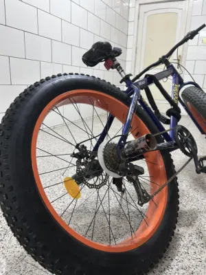 Fat bike cycle