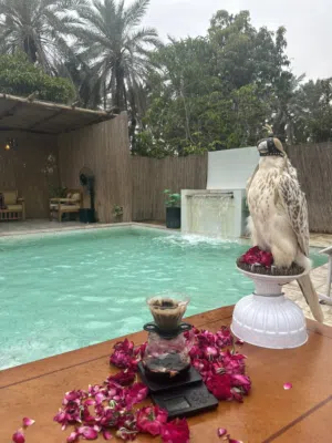 استراحة لليجار