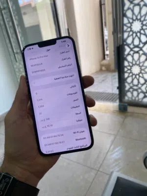 13 برو ماكس
