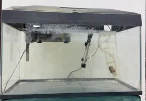 للبيع حوض سمك