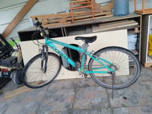 بسكليت كوبرا