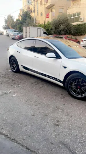 Tesla Model 3 Long Range Dual motor 2021