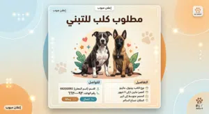 مطلوب للتبني