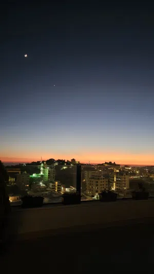 عمر مهند 