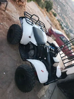 دباب بولريس