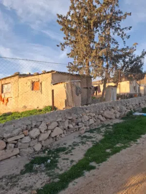 مزرعة دواجن نموذجية + حظيرة أغنام للإيجار السنوي