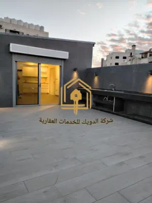 شقة دوبلكس - فاخرة - 4نوم - ترس - موقع مميز / دير غبار