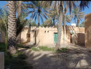 3 Bedrooms Farms for Sale in Al Dakhiliya Izki