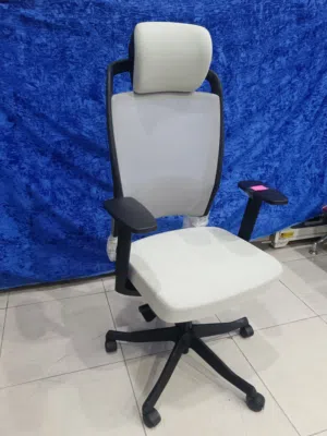 Solid Ergonomic Office Chair