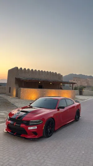 دوج هيلكات