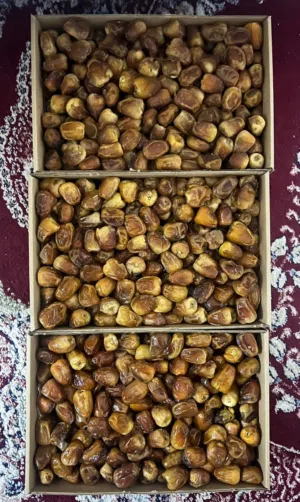 رطب تمر سكري