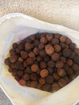 يوجد ليمون  مجفف للبيع  ليمون نظيف