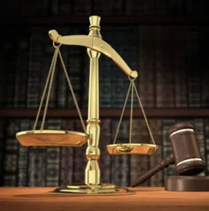 محامية متخصصة في تقديم الاستشارات القانونية ومتابعة مختلف القضايا والإجراءات القانونية