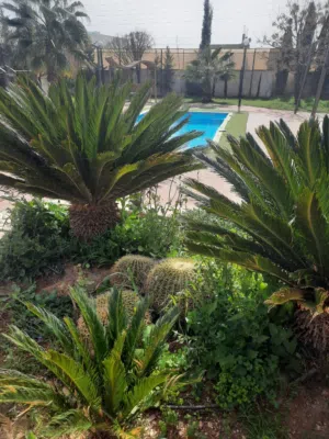 Studio Chalet for Rent in Amman Al-Rjoum