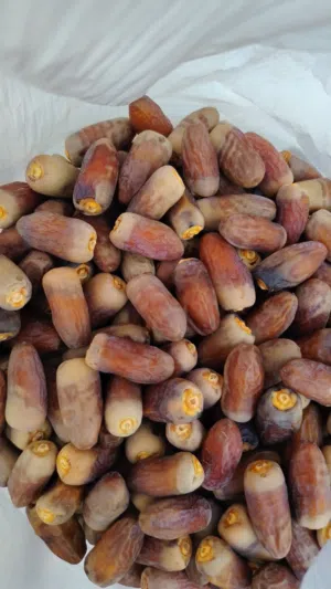 سح نغال الطائين 2026