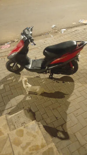 ماكس عدلة مستعملة