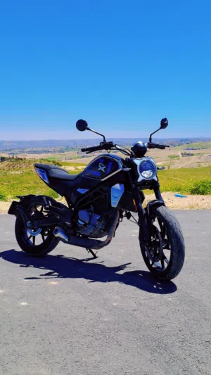 CFMOTO CLX300 FOR SALE