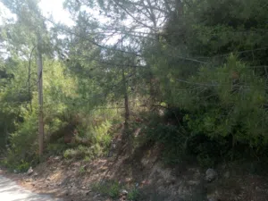 Residential . 699 m2 . Agent0