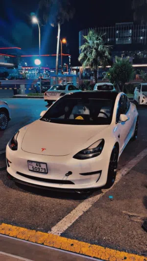 Tesla model 3 2020