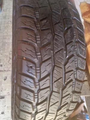 الباب الخلفي جامعة طرابلس