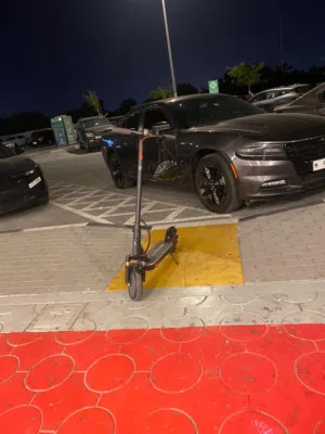 electric scooter