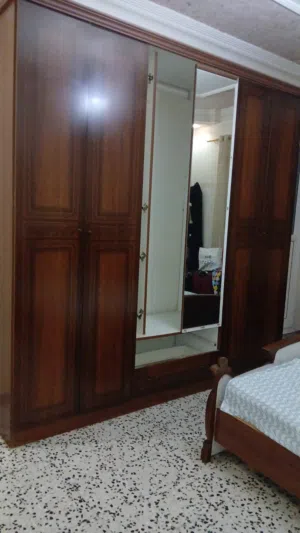 دولاب مهني
