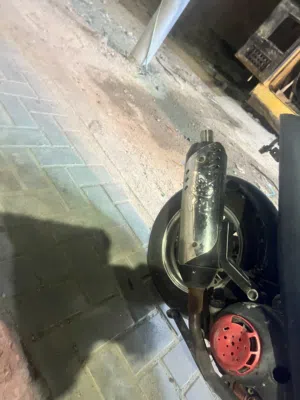 صالنصة ماكس رياضي