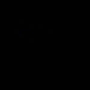 EM 