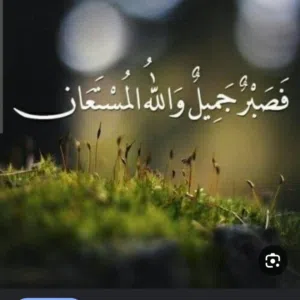 Tarek Ahmed Ahmed
