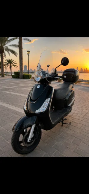 Sym model 2026