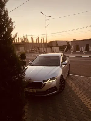 new-skoda-octavia-in-salfit