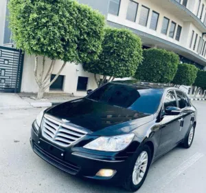 محمد القلعاوي 