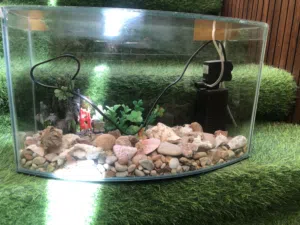 حوض سمك للبيع