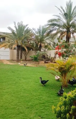 إستراحة للبيع داخل سوق الجمعة عرادة بالقرب من جامع المية الحلوة على أرض 990 متر