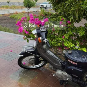 منير القصابي 