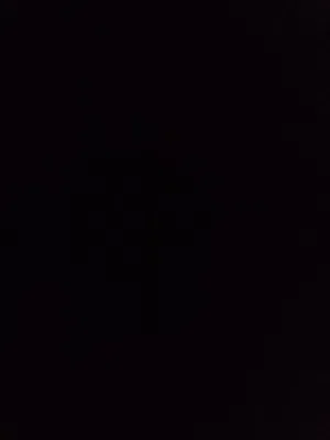 مطلوب فرخ كنيور او دره بسعر من 60_70