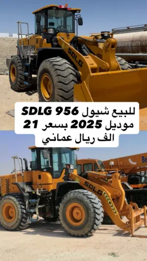 SDLG 2025 للبيع شيول لودر صيني موديل