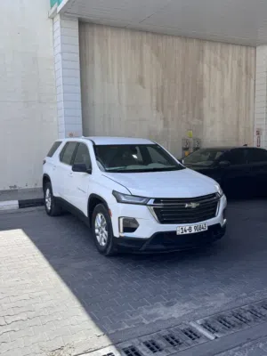 ترافلس مديل 23 جديده