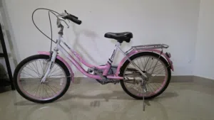 20-inch Girls Bicycle - Good Condition